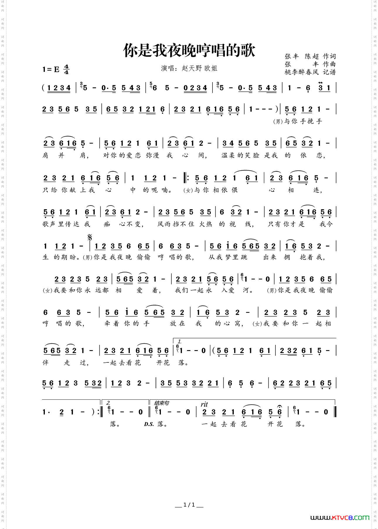 你是我夜晚哼唱的歌