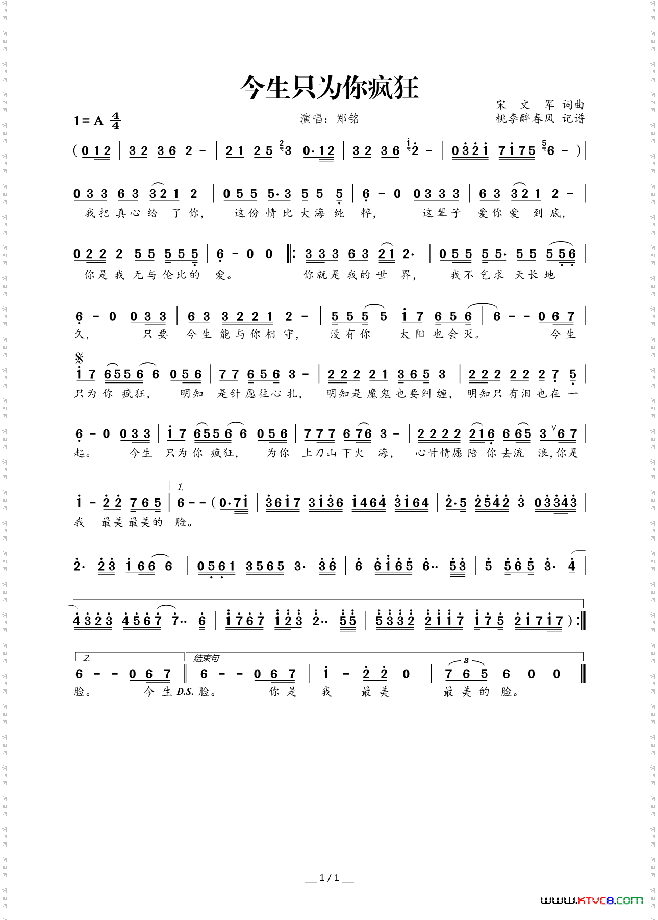 今生只为你疯狂