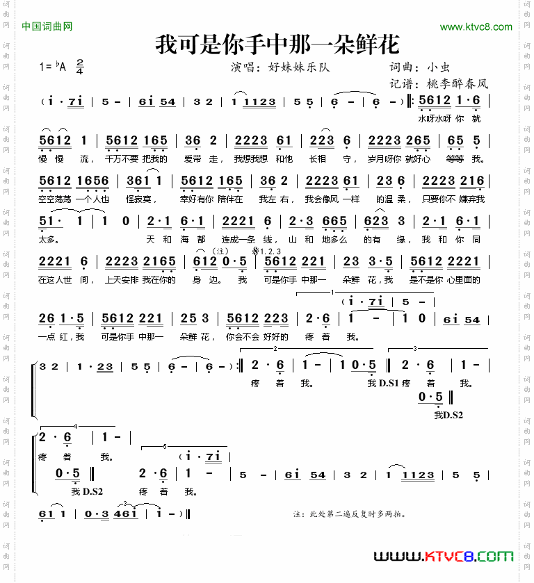 我可是你手中那一朵鲜花