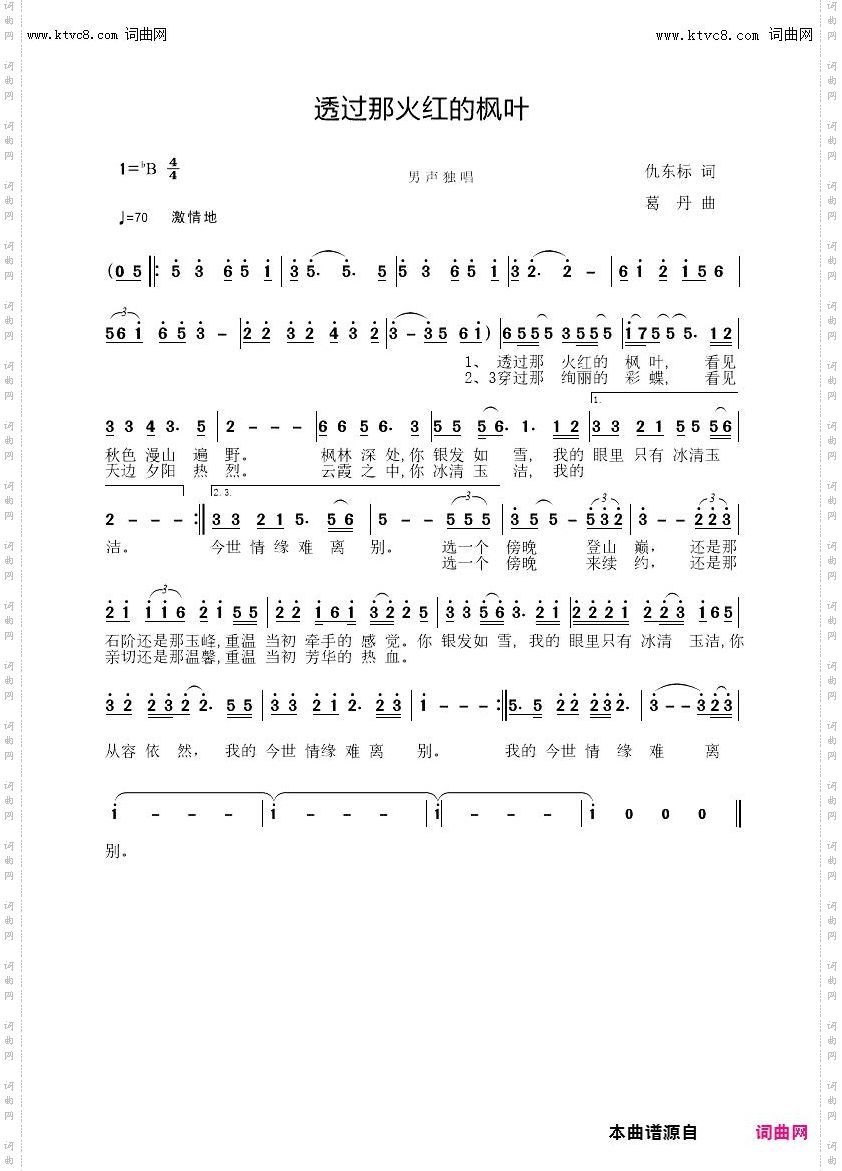 透过那火红的枫叶