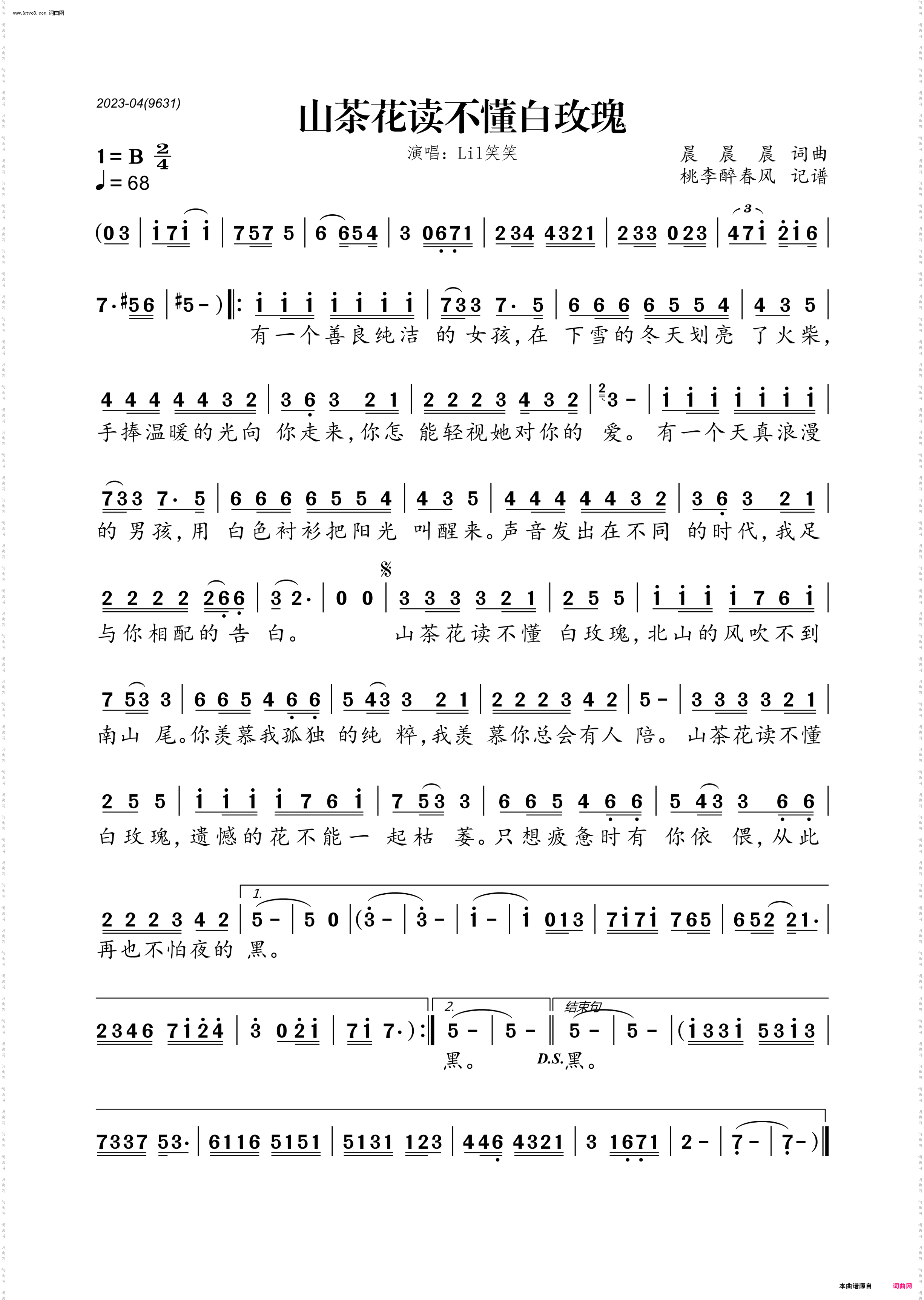 山茶花读不懂白玫瑰