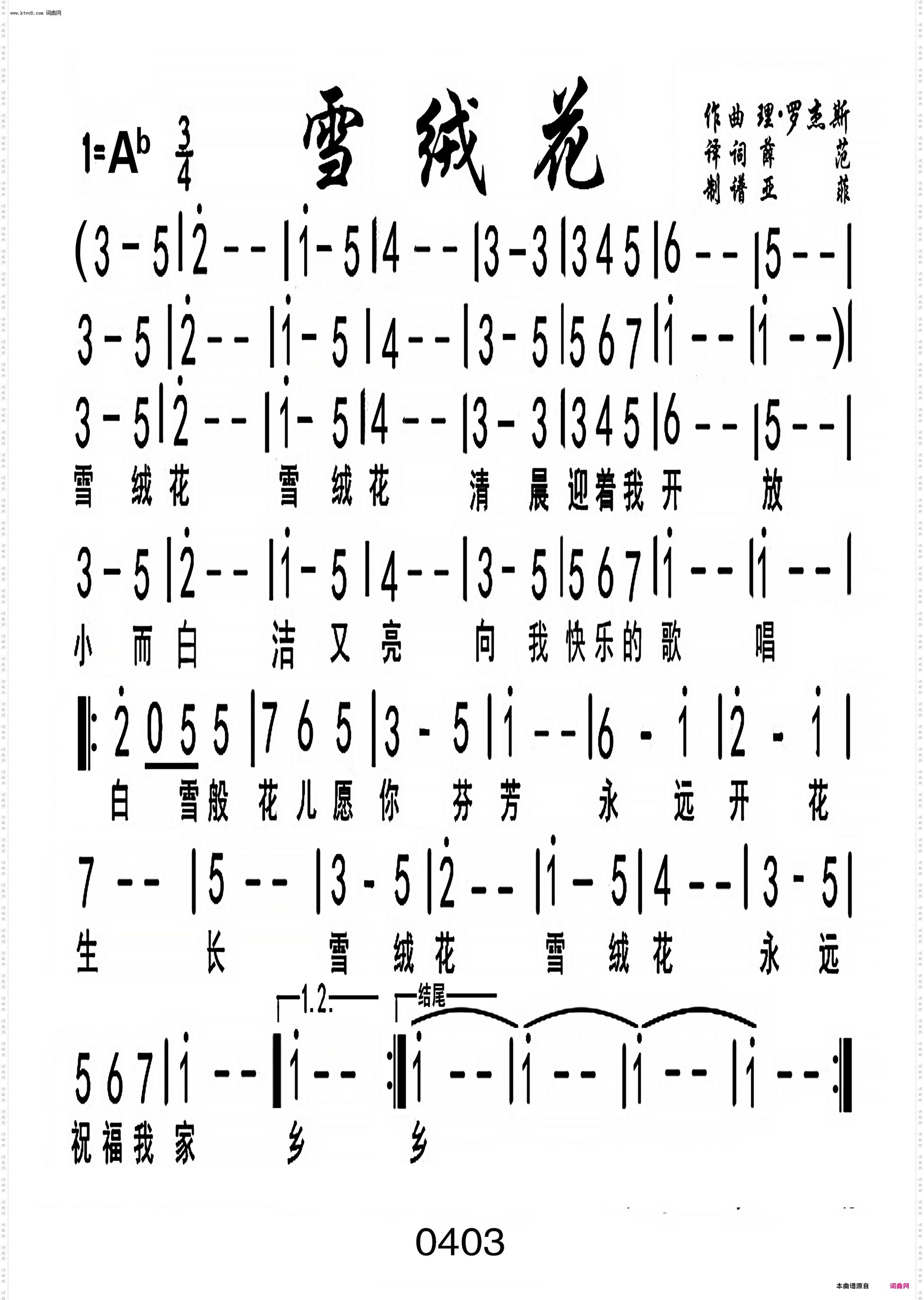 雪绒花_编号-107