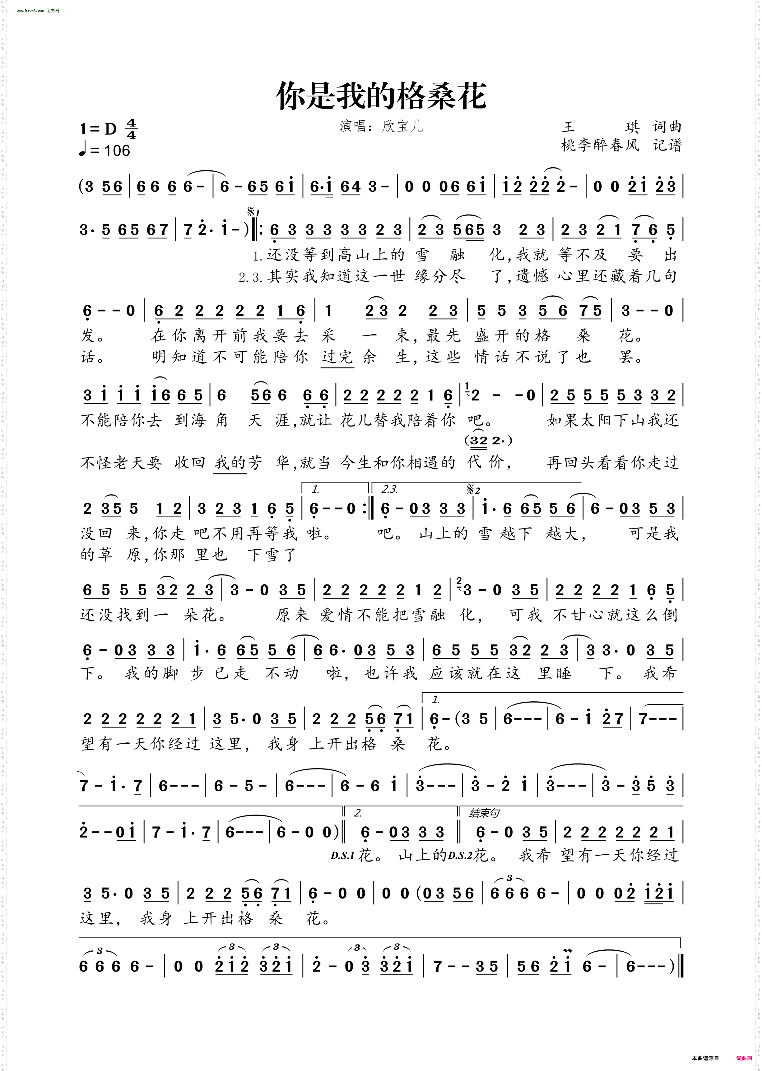 你是我的格桑花