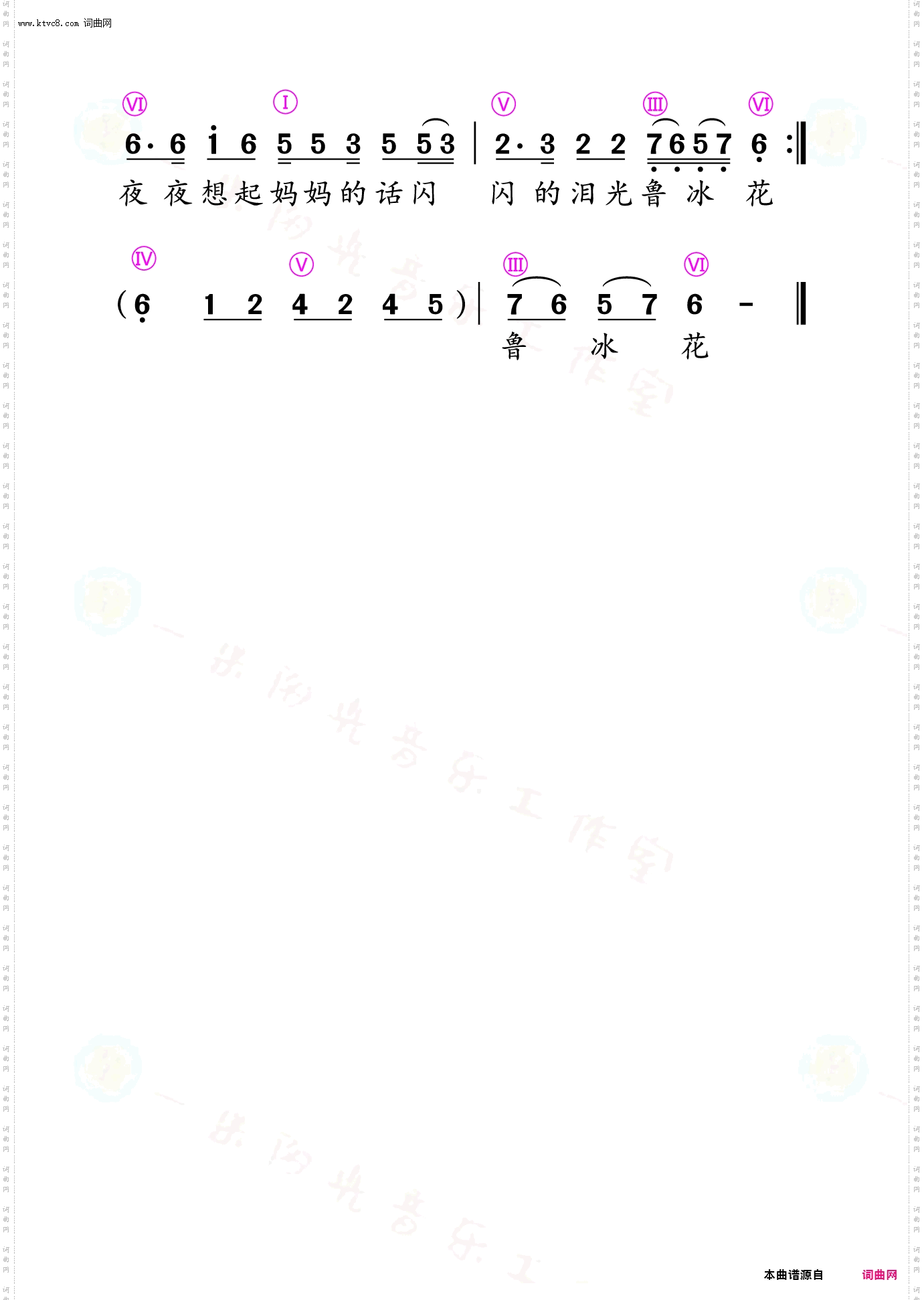 鲁冰花