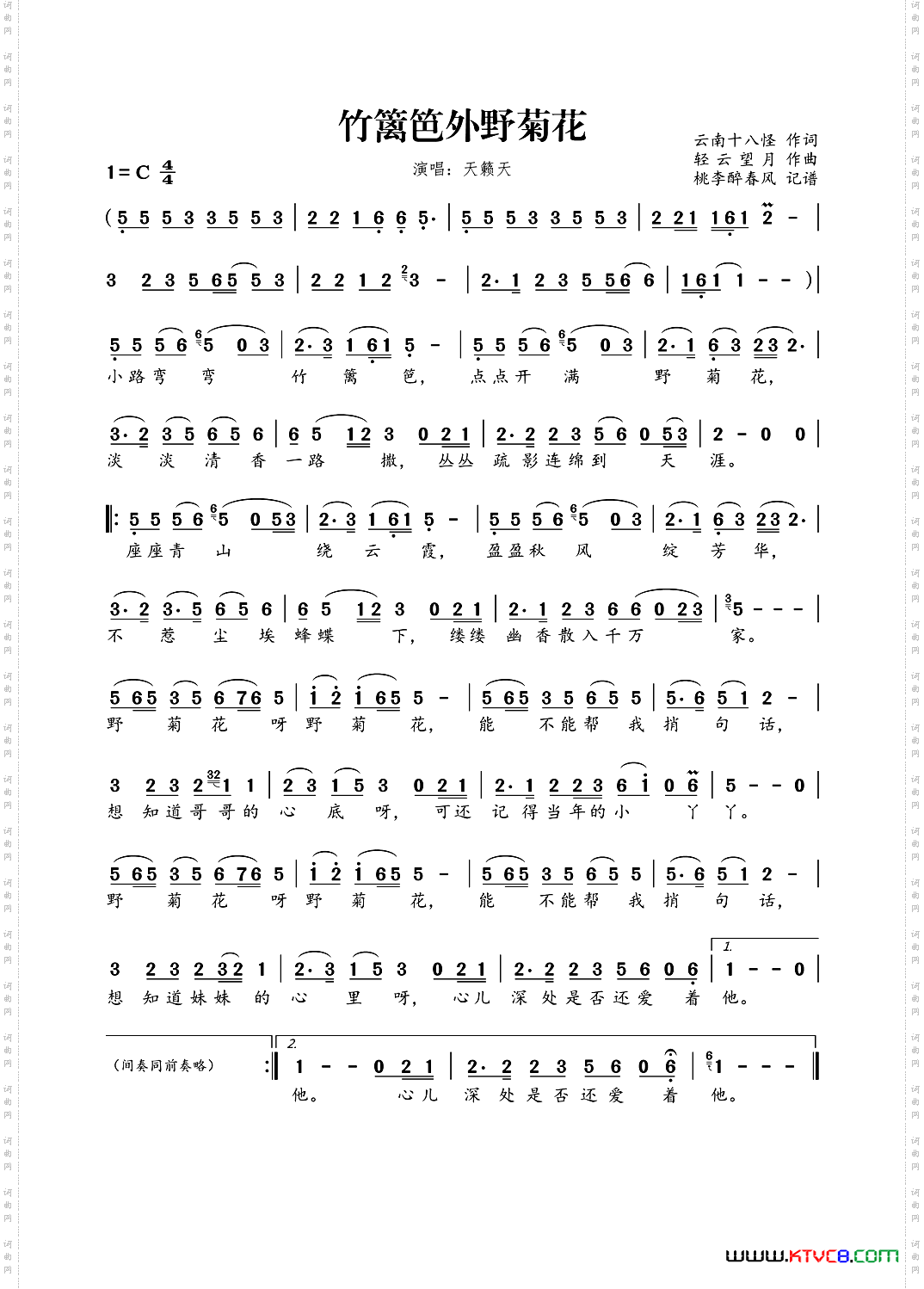 竹篱笆外野菊花