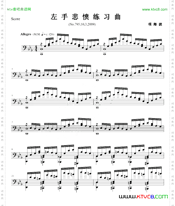 左手悲愤练习曲