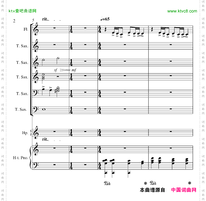 心雨