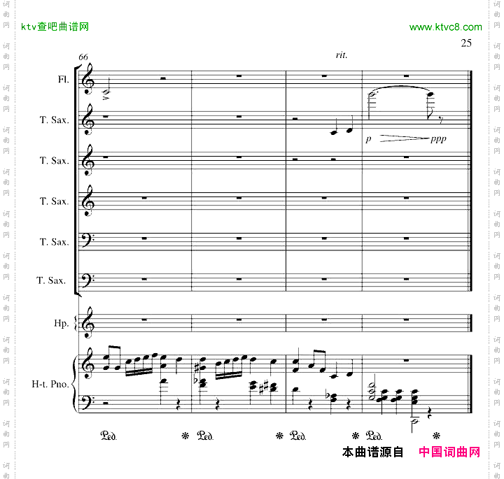 心雨