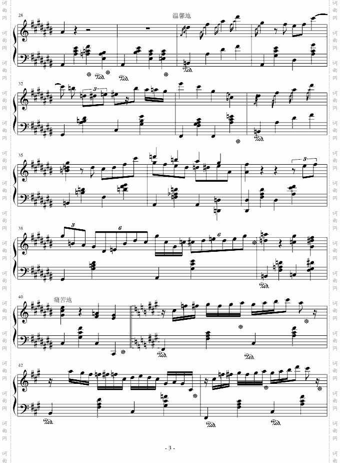 大夜洛之夜曲