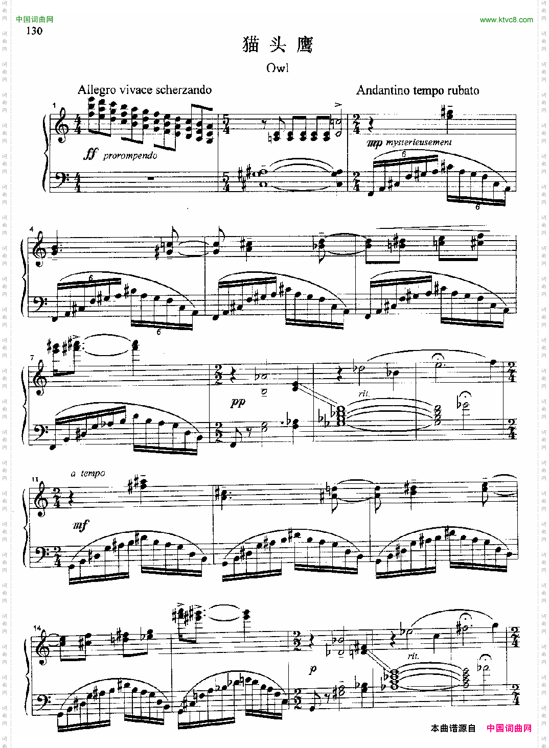 克劳斯上的鸟·猫头鹰