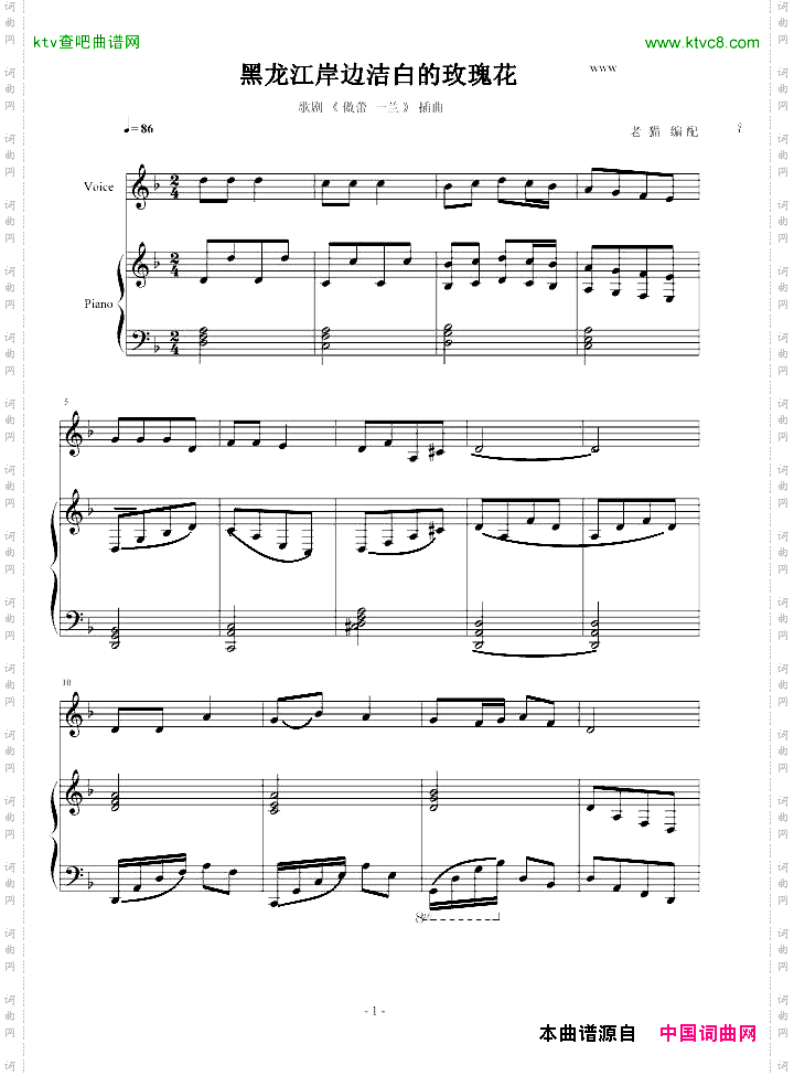 黑龙江岸边洁白的玫瑰花