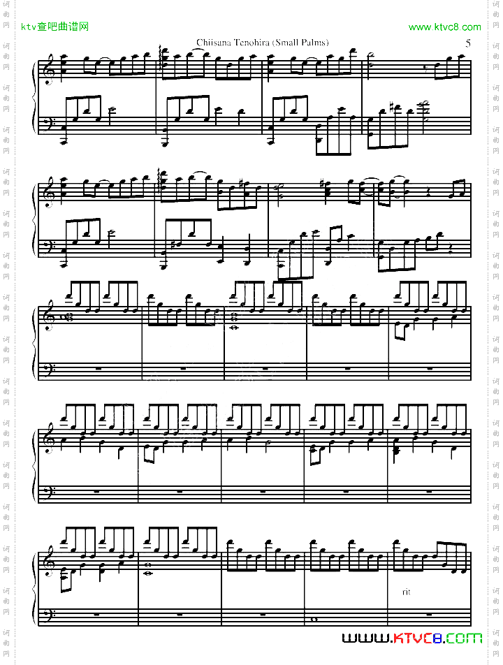 《小小的手心》官方版