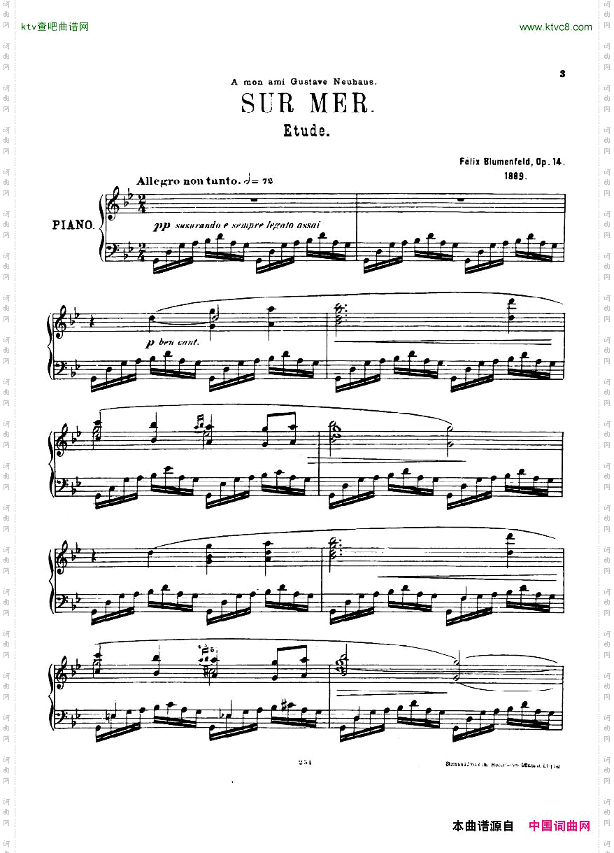 BLUMENFELD-Surmerop14