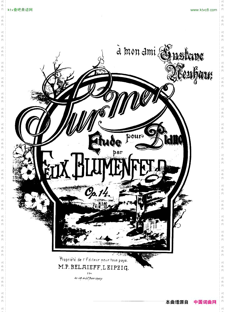 BLUMENFELD-Surmerop14