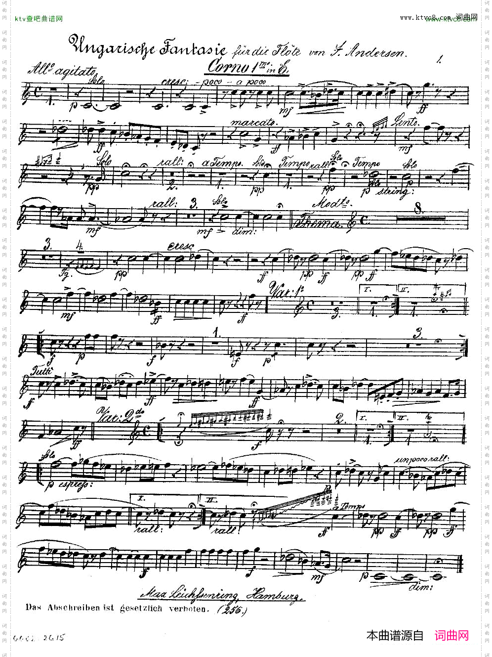 Andersen-op2-UngarischeFantasie-orchparts