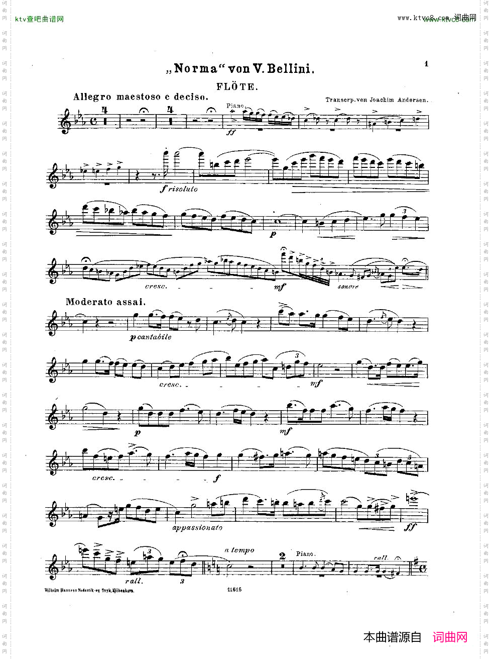 Andersen-op45-Opern-Transcriptionen-fl&pno一