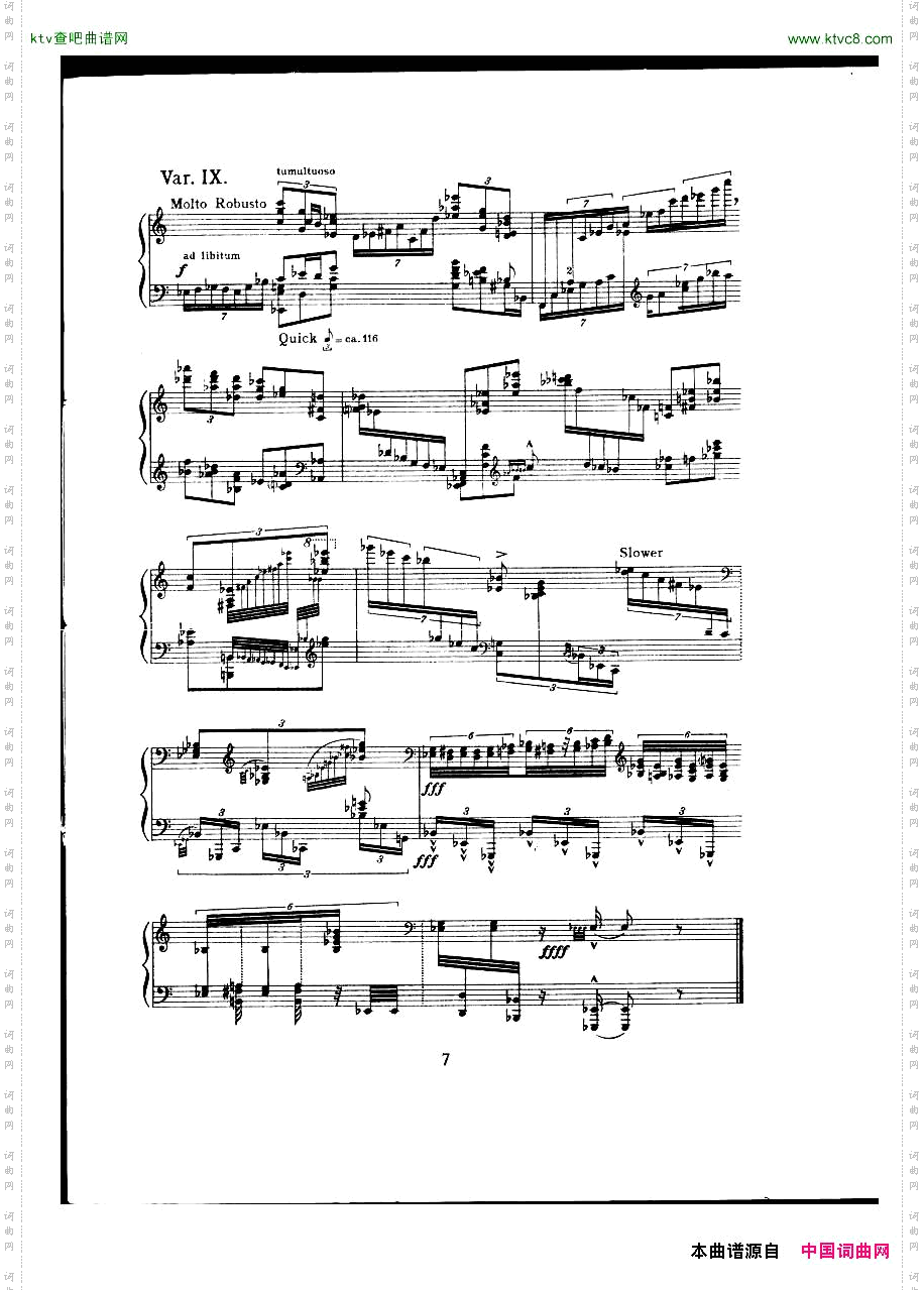 vanDieren-Theme&Variations