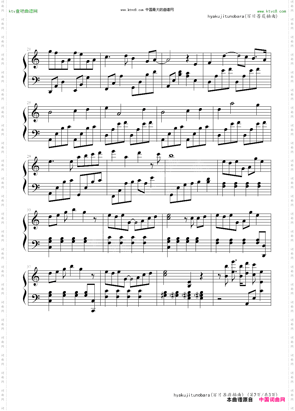 百日蔷薇ova插曲