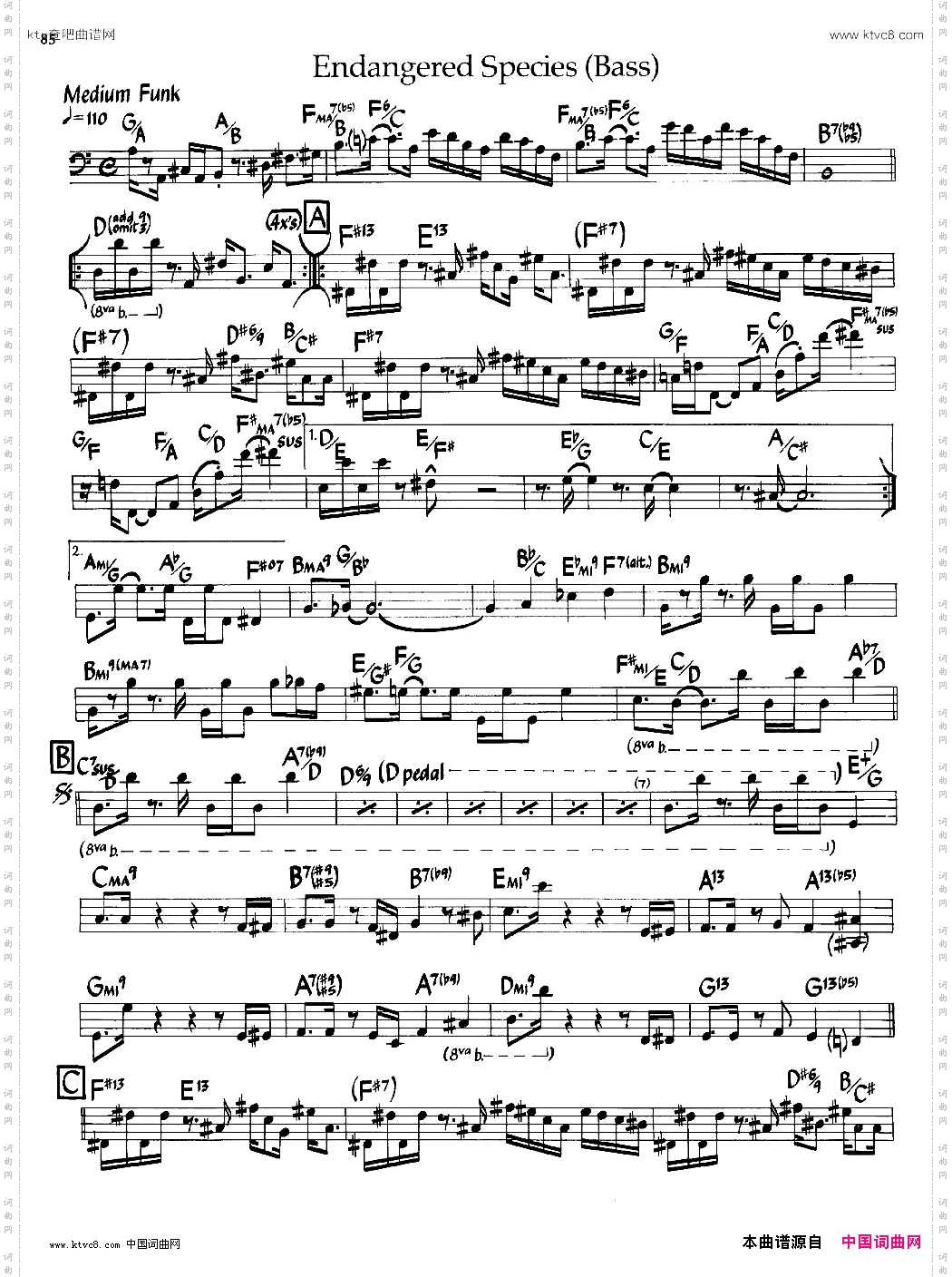 EndangeredSpecies爵士钢琴曲