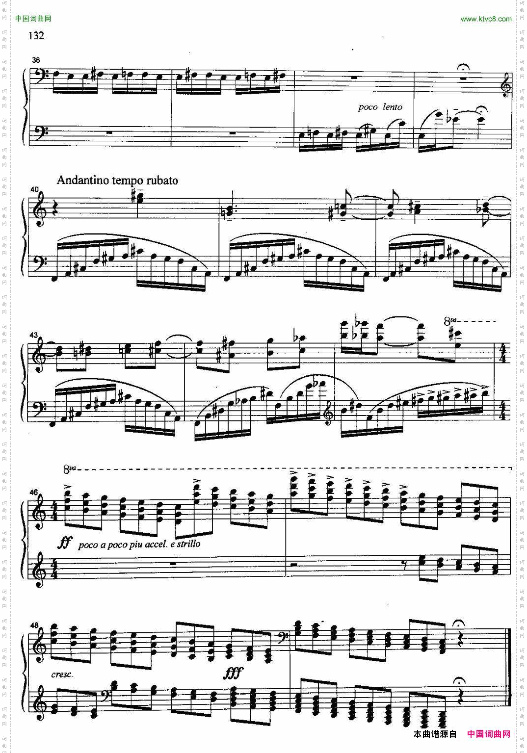 克劳斯上的鸟·猫头鹰