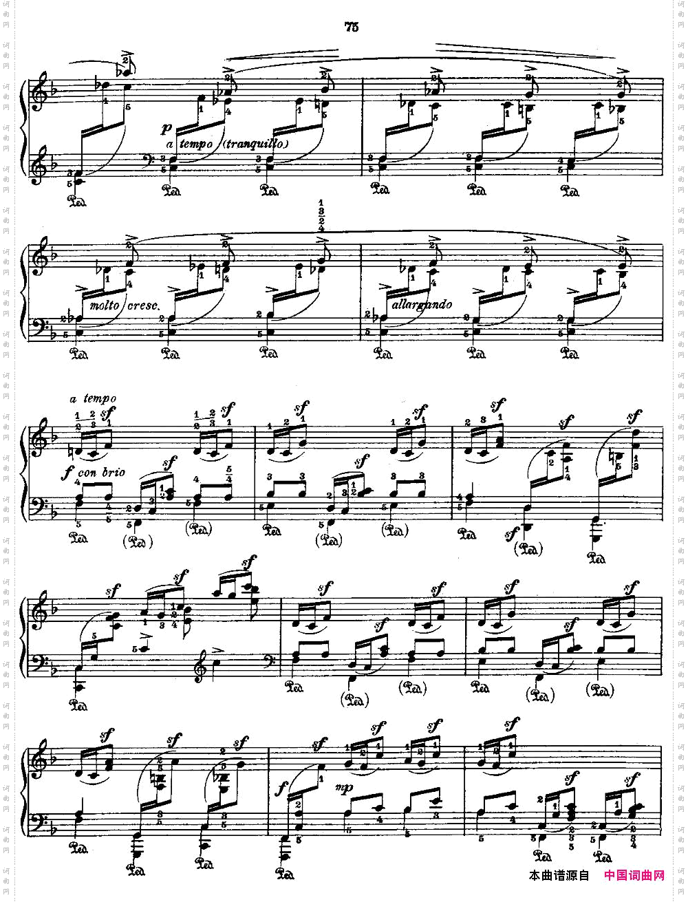 53首改编练习曲No·30