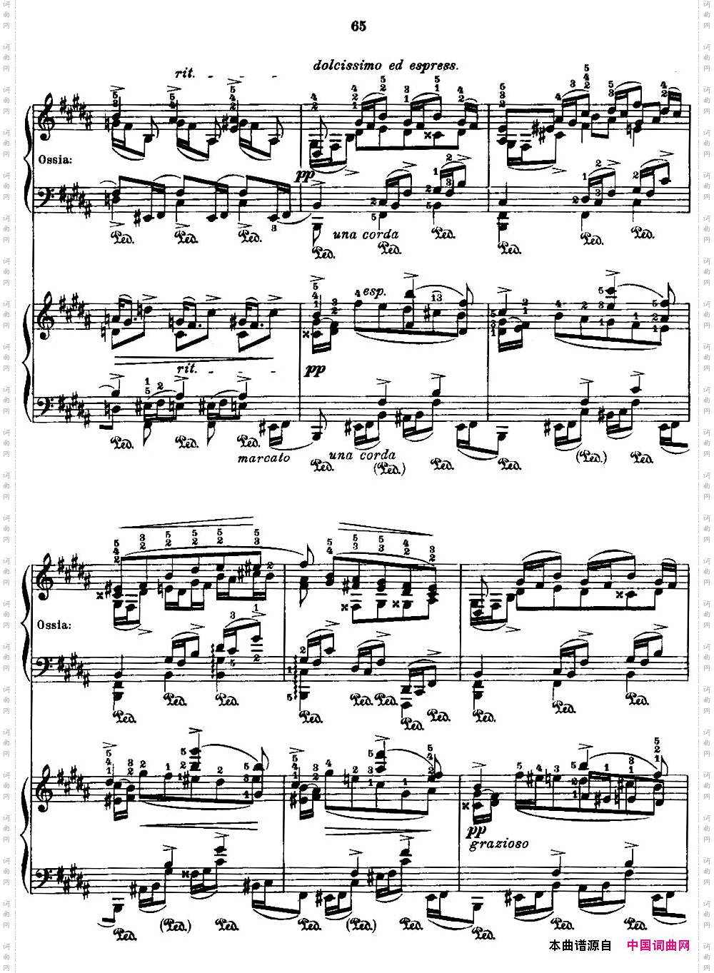 53首改编练习曲No·29