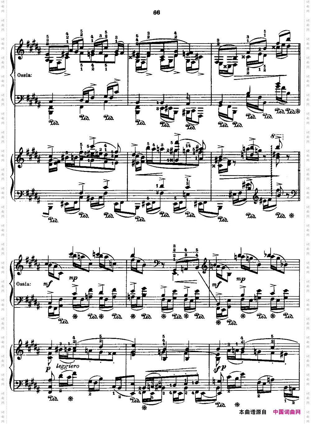 53首改编练习曲No·29