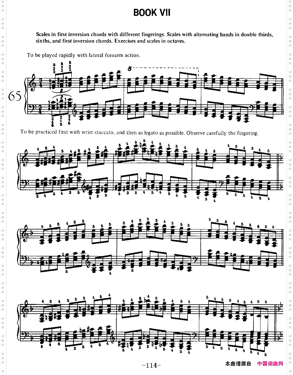 TechnicalExercisesS.146李斯特钢琴技巧练习BOOKⅦ_Technical Exercises S.146李斯特钢琴技巧练习 BOOK Ⅶ