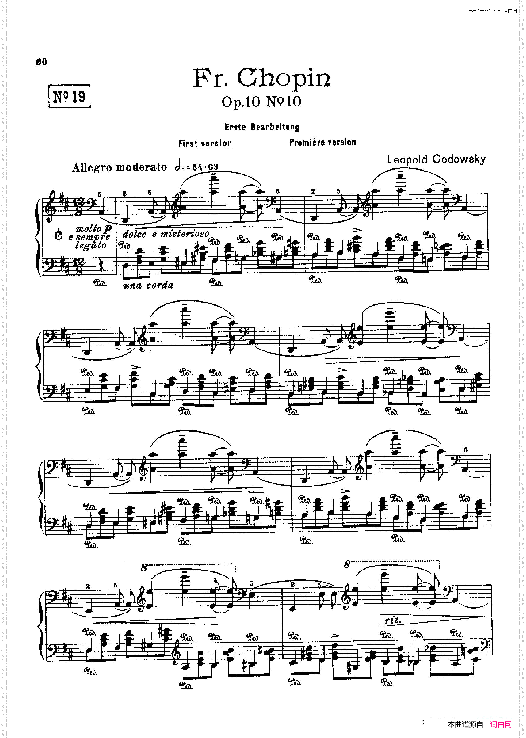 53首以肖邦练习曲为素材而作的练习曲No.19