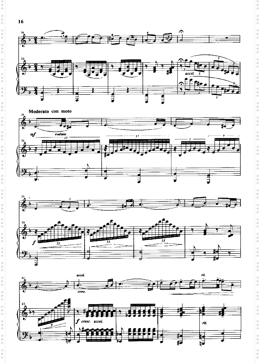 花儿为什么这样红钢伴弦乐类小提琴