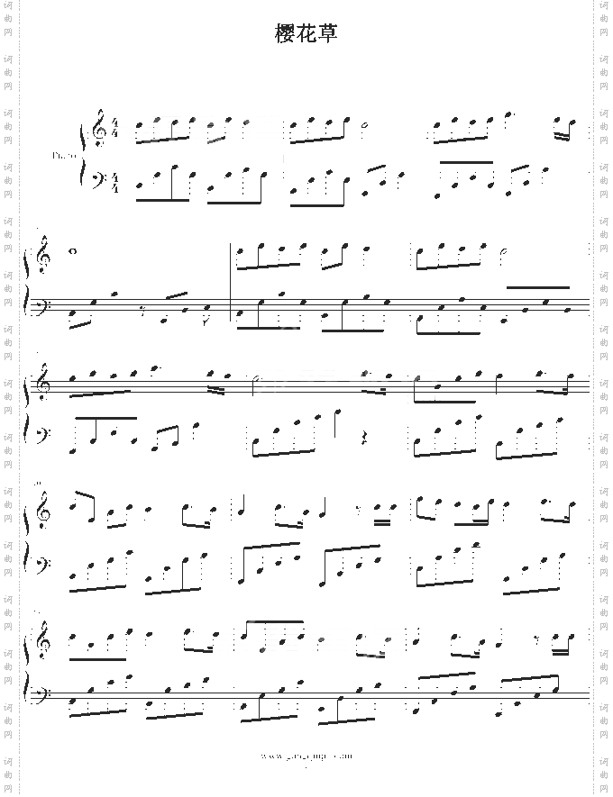 樱花草-幽幽鳕蘼版