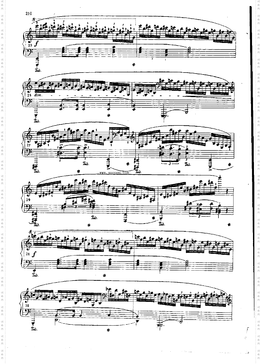 练习曲OP.25Nr11键盘类钢琴