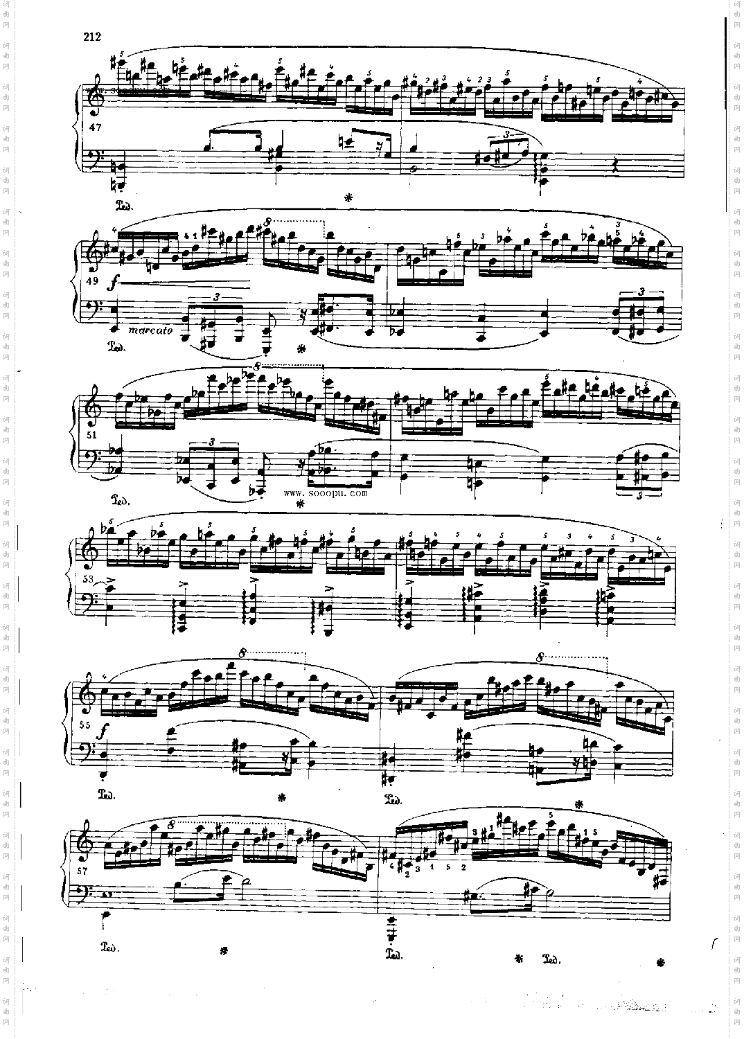 练习曲OP.25Nr11键盘类钢琴