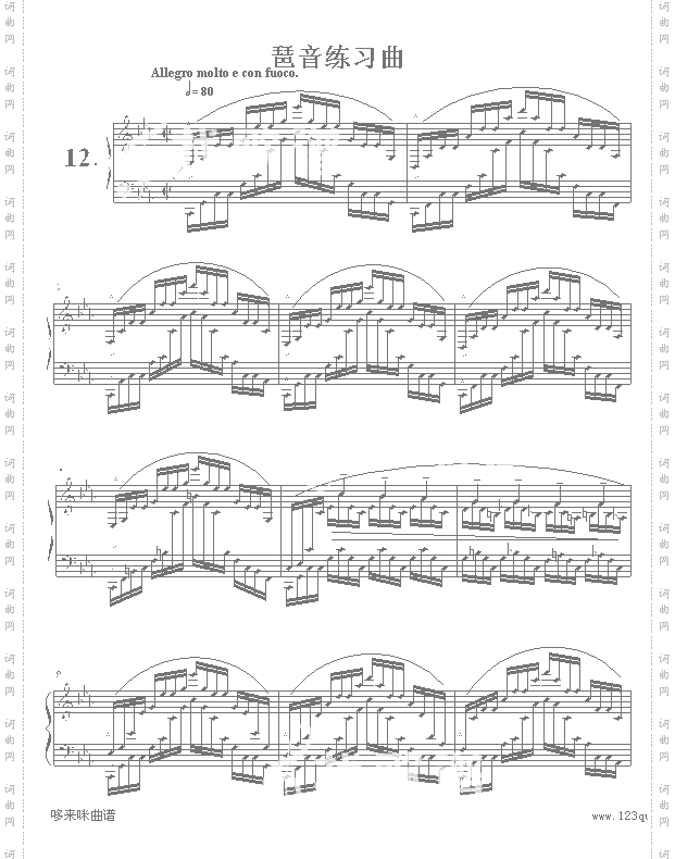 琶音练习曲-肖邦