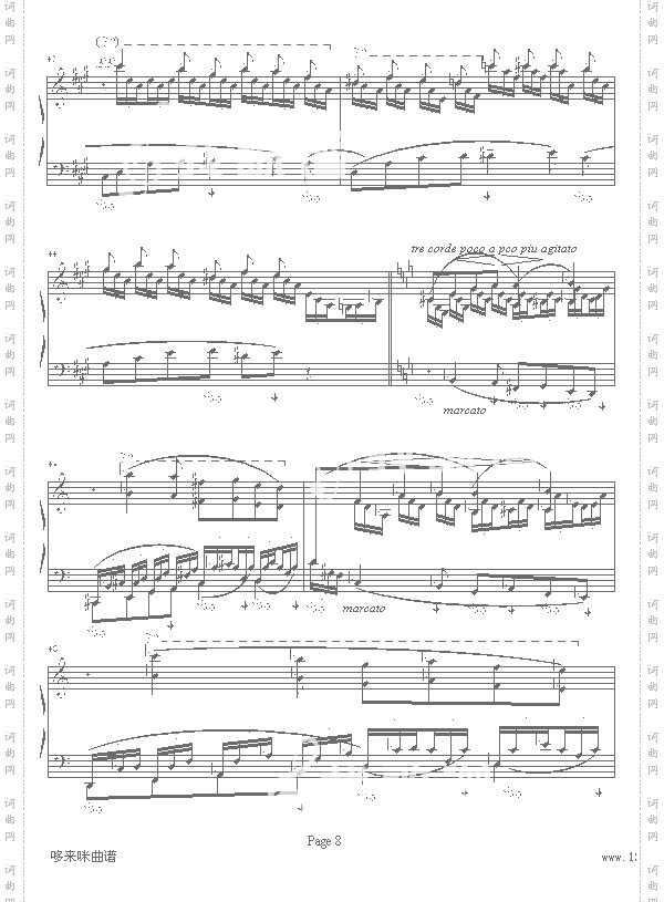 森林的呼啸-李斯特