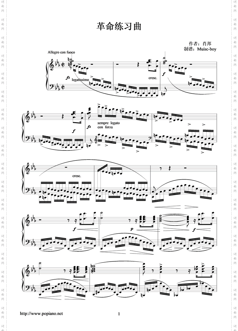 革命練習曲