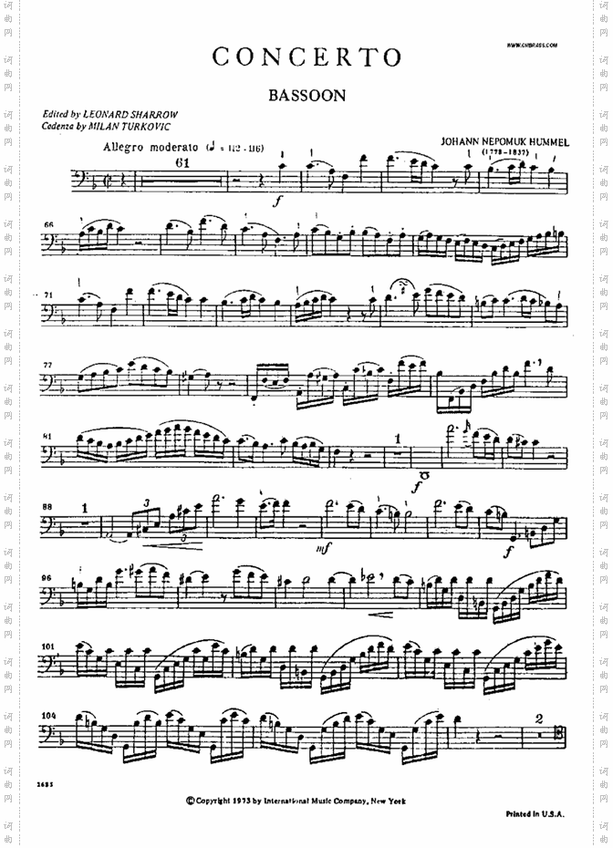 bassoon