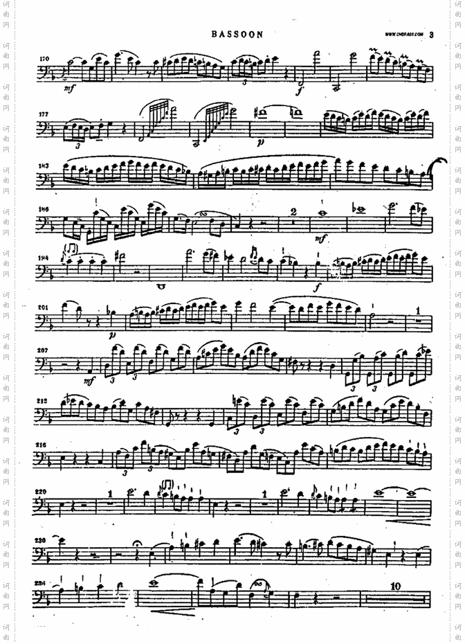 bassoon