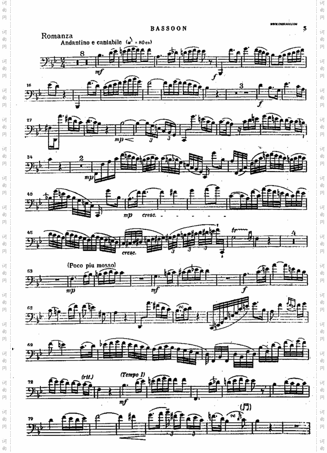 bassoon
