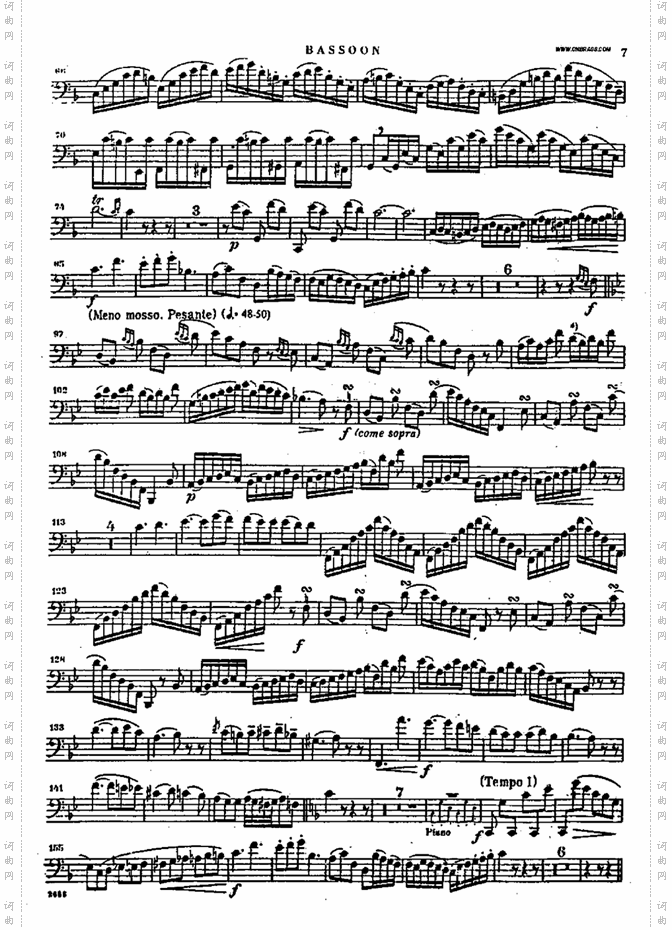 bassoon