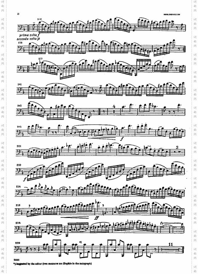 bassoon