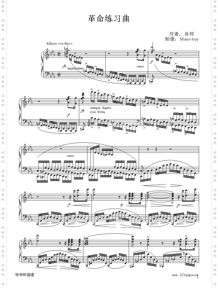 革命练习曲-肖邦