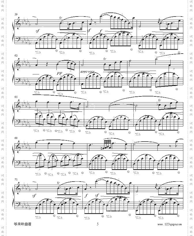 幻想即兴曲-滴漏打谱-肖邦