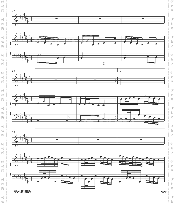 香水百合-张韶涵