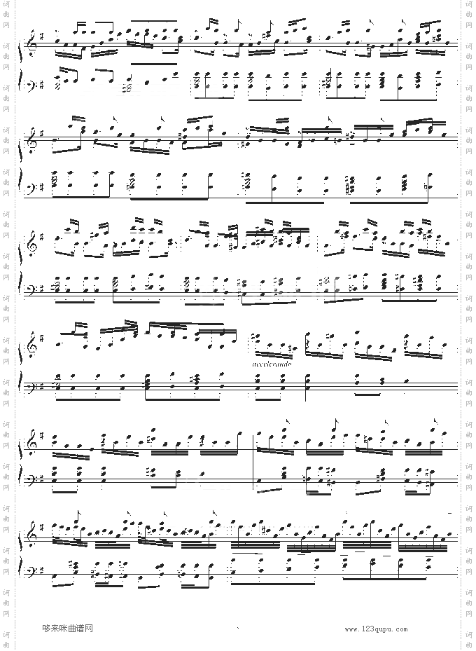 黎明前奏曲-帆雯