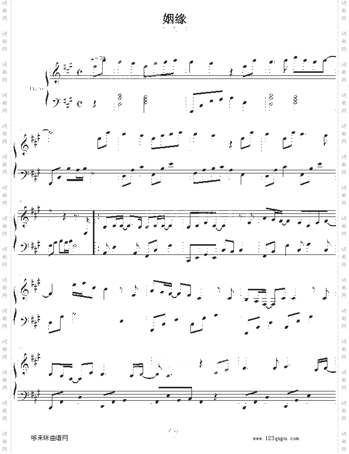 姻缘-王的男人-影视