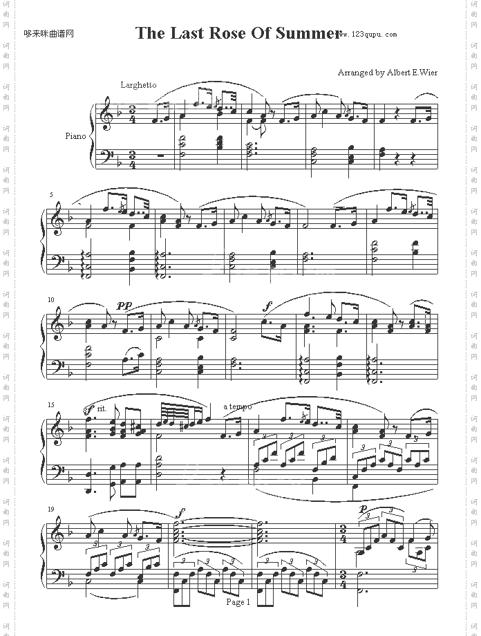 夏日最后一朵玫瑰-欧美日韩