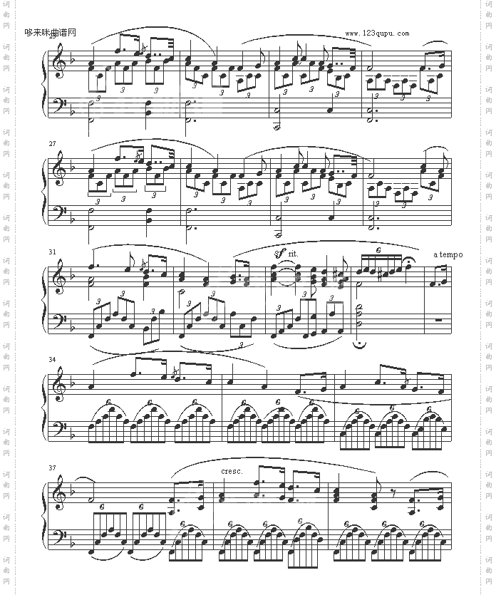 夏日最后一朵玫瑰-欧美日韩