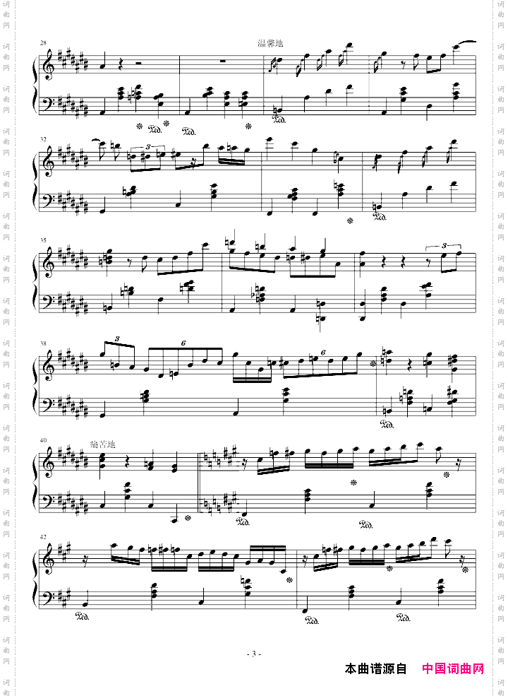 大夜洛之夜曲