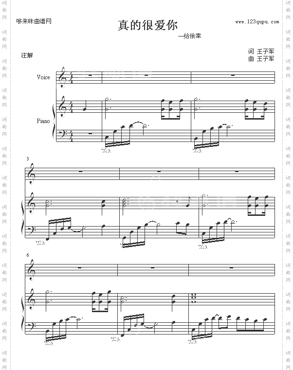 真的很爱你-王子军—艺